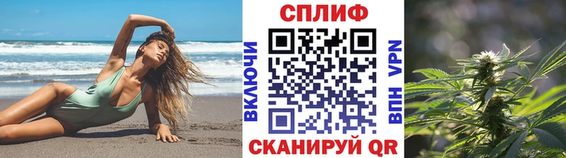 kraken ONION  Сосновка  Шишки марихуана план 